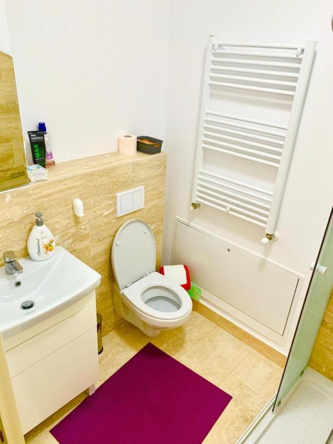 Big & Cosy Apartment With 3 Double Beds & 2 Bathrooms Iasi Buitenkant foto